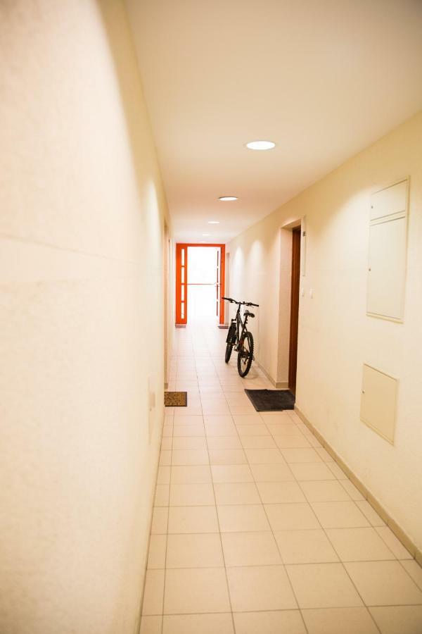 Apartament Seashell Bocianie Gniazdo Kołobrzeg